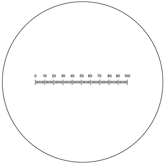 Microscope Eyepiece Reticle Linear Scale Micrometer Ruler Dia. 22mm, 5mm/100 Div.