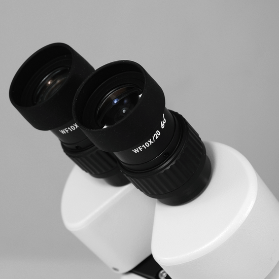 WF 10X Widefield Microscope Eyepieces, High Eyepoint, 30mm, FOV 20mm (Pair)