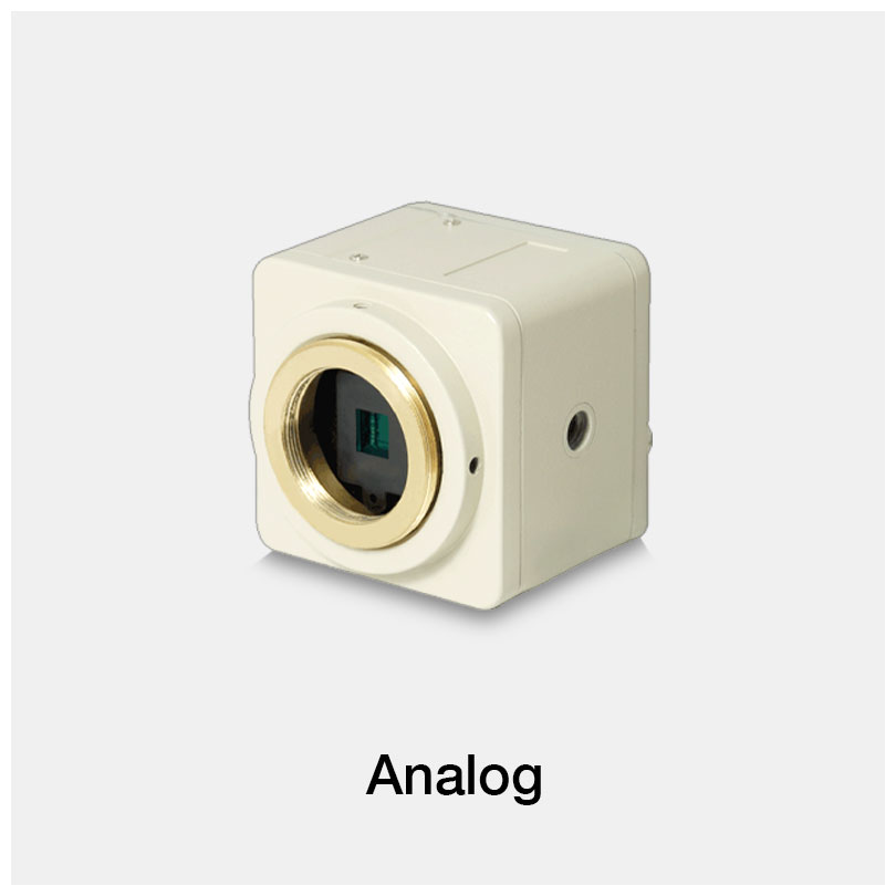 Analog Microscope Cameras