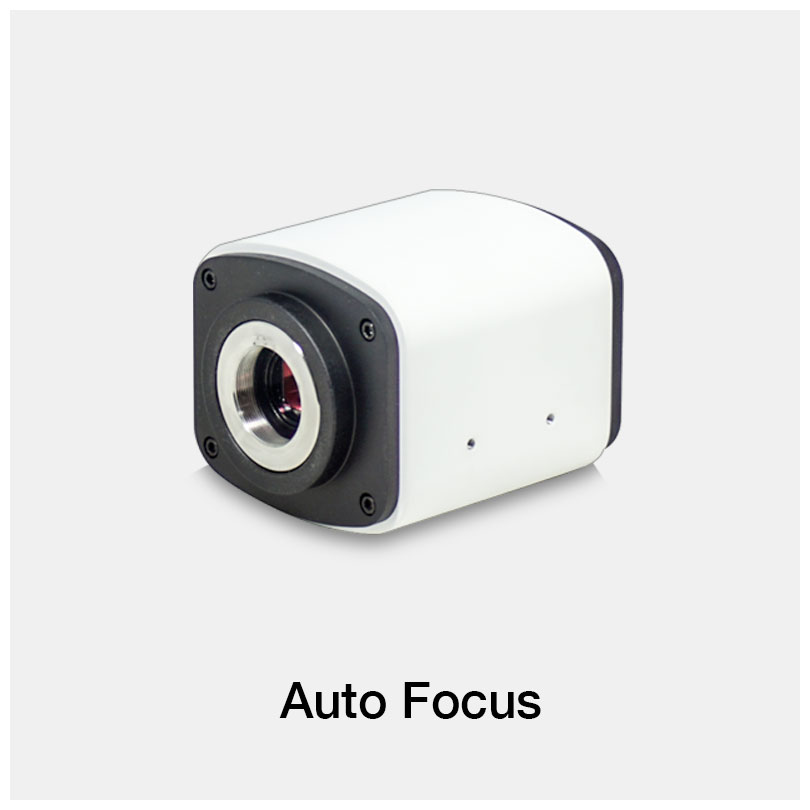 Auto Focus Microscope Cameras