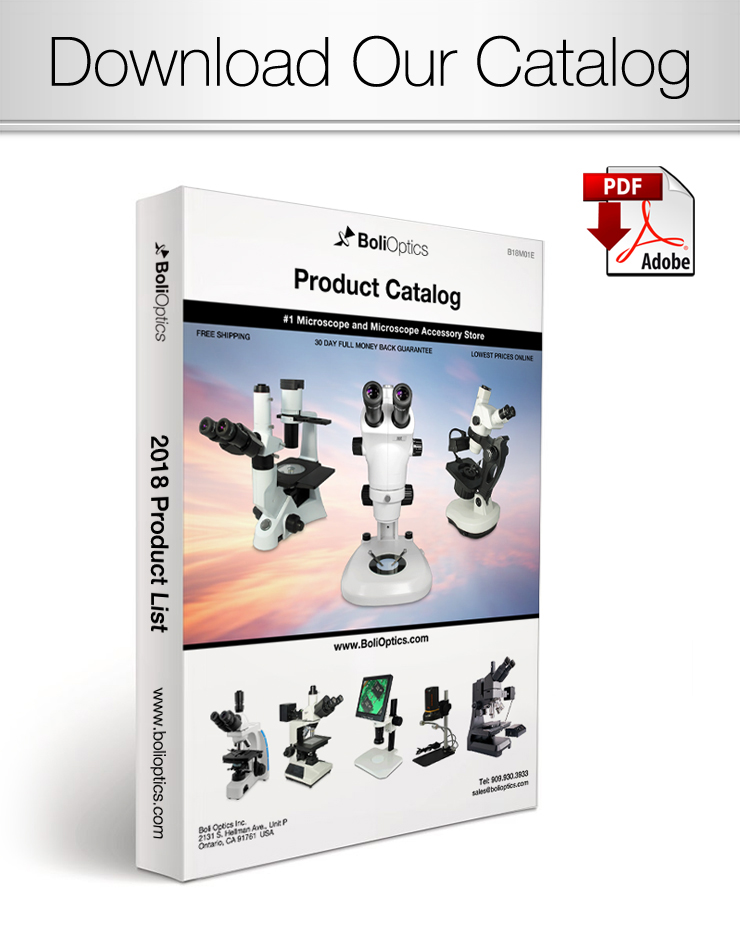 Download Our Catalog