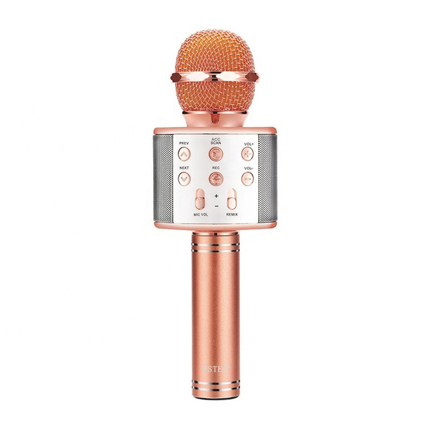 Bluetooth Karaoke Microphone WS-858