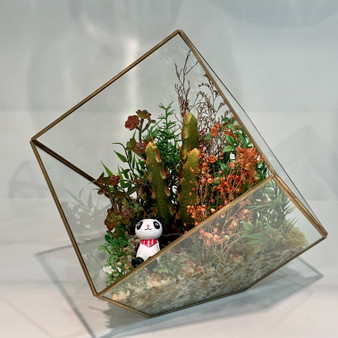 GET0408GD - Big Gold Tilted Cube Geometric Glass Terrarium. 12"H - (4 pcs/case)