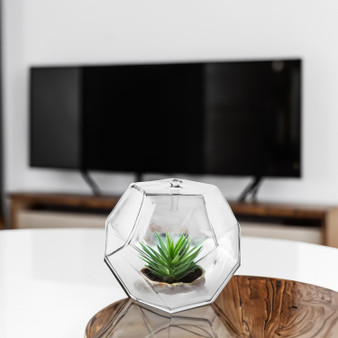 GET8003 Dodecahedron Frameless Geometric Glass Terrarium - 4.72" H (6 pcs)