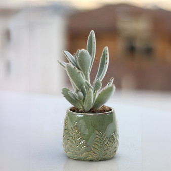 CLB9004GN - Small Green Reactive Glazed Bowl with Fern Print - 4.7" W x 4.2" H (24 pcs/case)