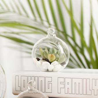 HCH0102 - Hanging Round Terrarium / Candle Holder - 2"