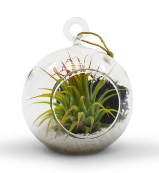 HCH0103 - Hanging Round Terrarium / Candle Holder - 3" (72pcs)