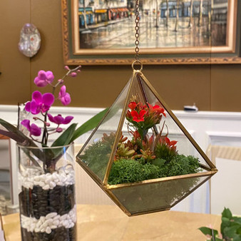GET0308GD - Gold Raised Pyramid Geometric Glass Terrarium - 8"