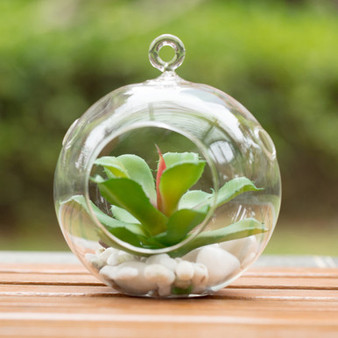HCH0105 - Clear Hanging Glass Terrarium / Candle Holder - 6" (24 pcs)