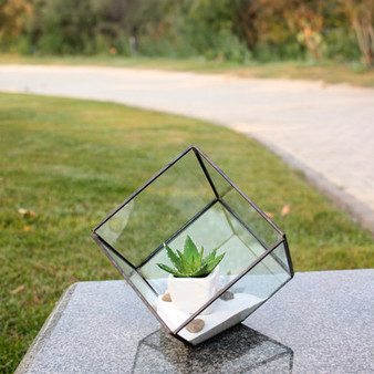 GET0406BK - Black Tilted Cube Geometric Glass Terrarium - 8.5"