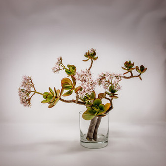 VCY0506 - Cylinder Glass Vase - 5"x6" (12 pcs/case)