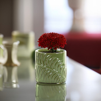 CYC2304GL - Small Green Fern Cylinder Vase - 4" D x 4.25" H (24 pcs/case)