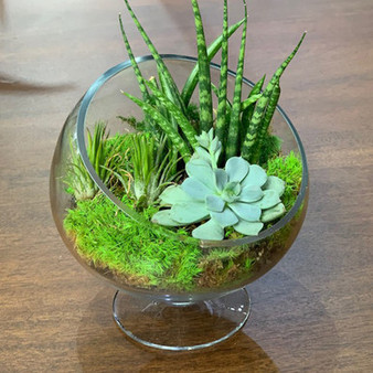 VHC0610 - Clear Slant Cut Unique Bowl Glass Vase on Stand - 8.6"
