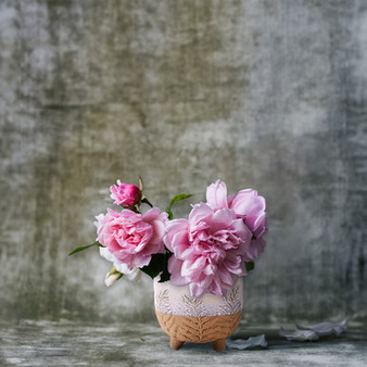 CDB5705CR - Cream and Sand Two-Toned Ceramic Footed Bowl with Fern Print - 5.4" W x 5.1" H (24 pcs/case)