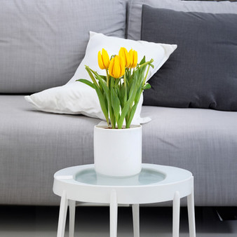 VCY0606WT - White Glass Cylinder Vase - 6" x 6"
