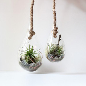HCH0913 - Medium Rope Hanging Clear Glass Terrarium - 6" x 11"H