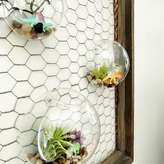 HCH1106 - Half Round Wall Hanging Terrarium - 6"