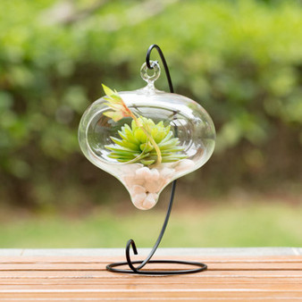 HCH0305 - Turnip Hanging Terrarium - 3"x6"