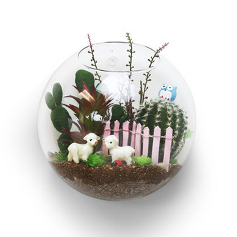 HCH1107 - Half Round Wall Hanging Terrarium - 7"