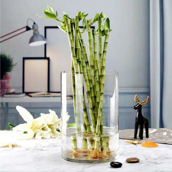 VCY0810 - Cylinder Glass Vase - 8"x10"H
