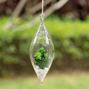 HCH0408 - Hanging Glass Terrarium - 2"x9"