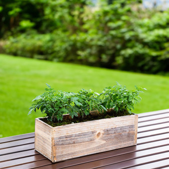 WBR1244WA -White Washed Wood Planter Long Box - 6" (6 pcs)