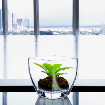 VCH0506 - Candle Holder Glass Vase - 4.5"x6"