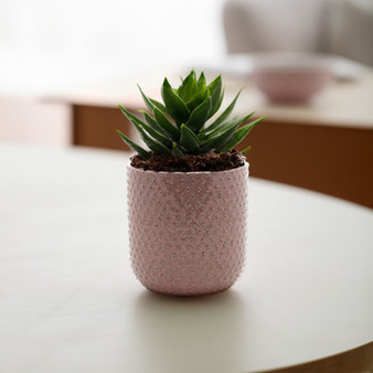 CUC8505PK - Large Special Pink Ceramic Pot - 5.5"
