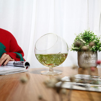 VCH4006 Slant Bowl Terrarium 5x6 (24pcs)