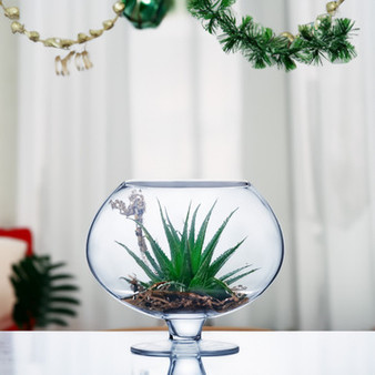 VBW0912 - Bowl Glass Vase with Stem - 7.5"x12"