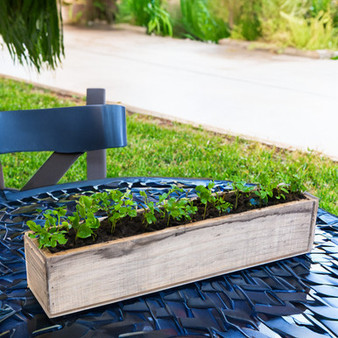 WBR2044RS - Rustic Wood Planter Long Box - 20" (6 pcs)