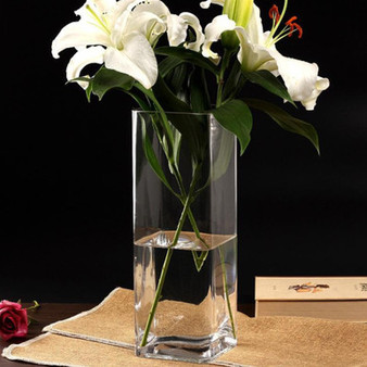 VBV0516 Block Glass Vase - 5"x16" (6 pcs)
