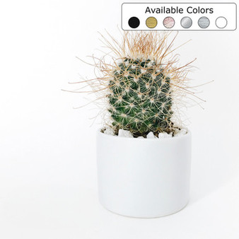 Ceramic Cylinder Vase - 6"H (Various Colors)