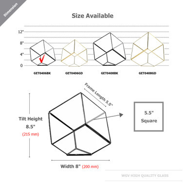 GET0406BK - Black Tilted Cube Geometric Glass Terrarium - 8.5"