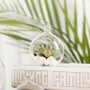 HCH0102 - Hanging Round Terrarium / Candle Holder - 2" HCH0102 - Hanging Round Terrarium / Candle Holder - 2"