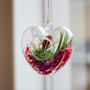 HCH1205 - Small Heart Terrarium - 5" H (48 pcs/case)