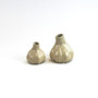 CBD4004WT - Large Ceramic Garlic Pod Bud Vase - 3.8" W x 4.3" H (24 pcs/case) CBD4004WT - Large Ceramic Garlic Pod Bud Vase - 3.8" W x 4.3" H (24 pcs/case)