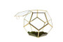 GET1209GD - Medium Gold Prism Dodecahedron Geometric Glass Terrarium - 7.5"H