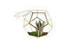 GET1209GD - Medium Gold Prism Dodecahedron Geometric Glass Terrarium - 7.5"H