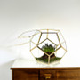 GET1209GD - Medium Gold Prism Dodecahedron Geometric Glass Terrarium - 7.5"H