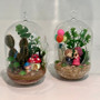 HCH0508 - Cylinder Hanging Terrarium - 5"x8"H HCH0508 - Cylinder Hanging Terrarium - 5"x8"H