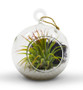 HCH0103 - Hanging Round Terrarium / Candle Holder - 3" (72pcs) HCH0103 - Hanging Round Terrarium / Candle Holder - 3" (72pcs)