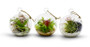 HCH0103 - Hanging Round Terrarium / Candle Holder - 3" (72pcs) HCH0103 - Hanging Round Terrarium / Candle Holder - 3" (72pcs)