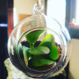 HCH0103 - Hanging Round Terrarium / Candle Holder - 3" (72pcs) HCH0103 - Hanging Round Terrarium / Candle Holder - 3" (72pcs)