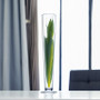 VTV0427 - Pilsner Glass Trumpet Vase - 27"