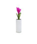 VCY0512WT - White Cylinder Glass Vase - 5"x12"