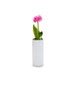 VCY0512WT - White Cylinder Glass Vase - 5"x12"