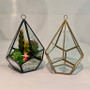 GET0108GD Gold Tear Drop Geometric Terrarium - 8"H (6 pcs)
