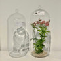 HCH0512 Cylinder Hanging Terrarium - 4x12" (12pcs) HCH0512 Cylinder Hanging Terrarium - 4x12" (12pcs)
