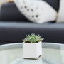 VCB0005WT - White Cube Glass Candle Holder / Vase - 5"x5" (12 pcs/case) VCB0005WT - White Cube Glass Candle Holder / Vase - 5"x5" (12 pcs/case)